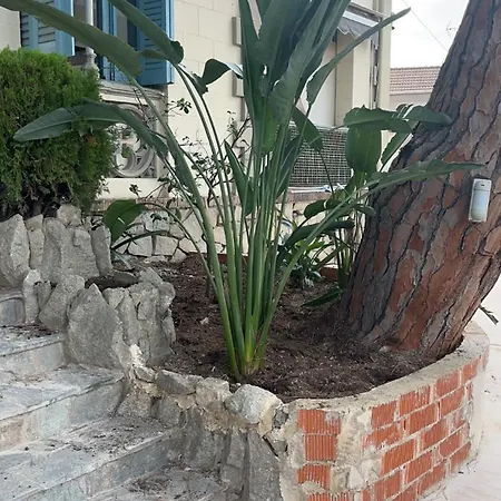 Cruspinera